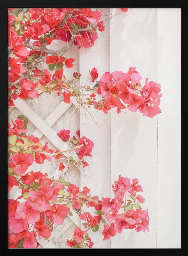 White &amp;amp; Pink - Stretched Canvas, Poster or Fine Art Print I Heart Wall Art