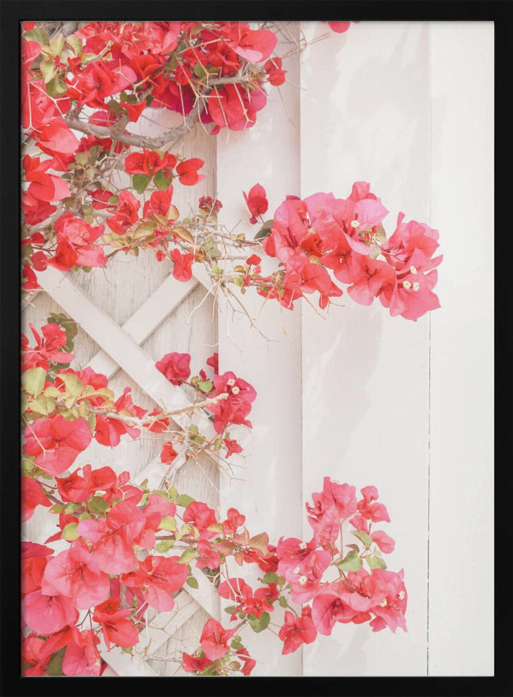 White &amp;amp; Pink - Stretched Canvas, Poster or Fine Art Print I Heart Wall Art