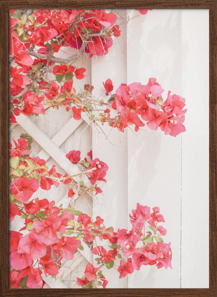 White &amp;amp; Pink - Stretched Canvas, Poster or Fine Art Print I Heart Wall Art