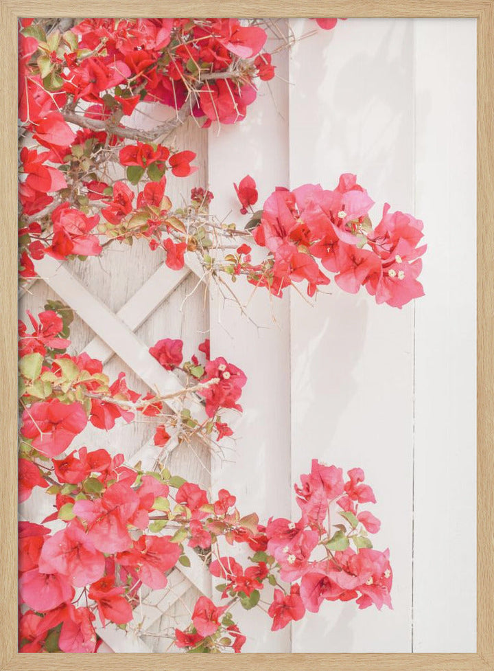 White &amp;amp; Pink - Stretched Canvas, Poster or Fine Art Print I Heart Wall Art