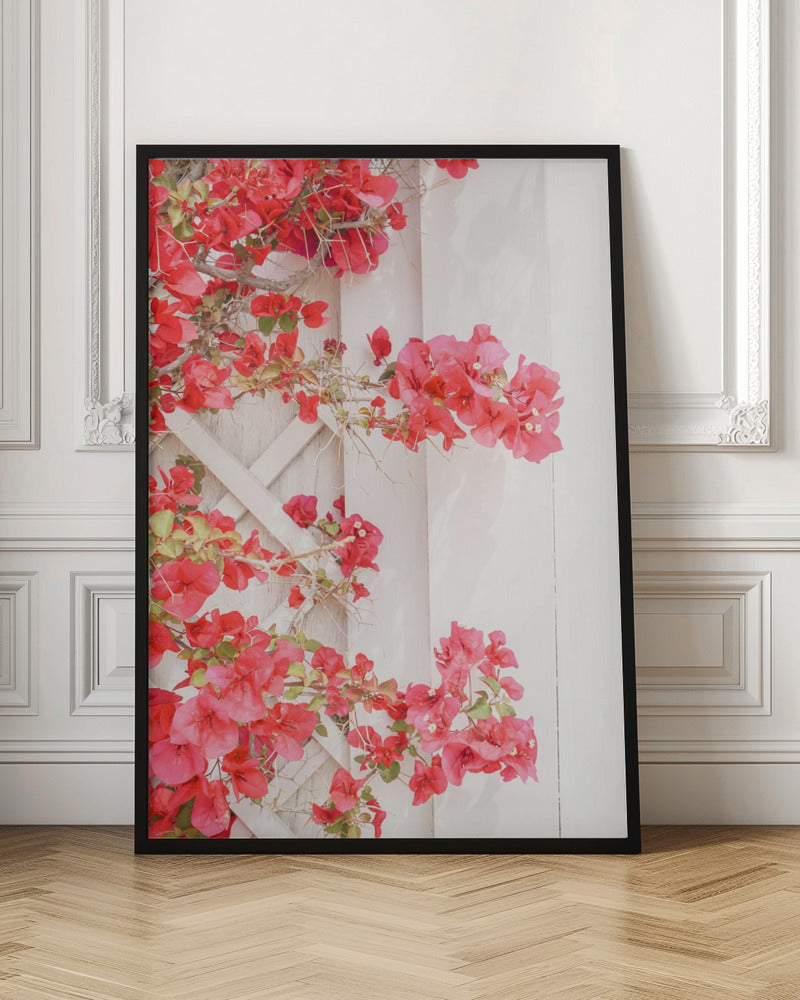 White &amp;amp; Pink - Stretched Canvas, Poster or Fine Art Print I Heart Wall Art