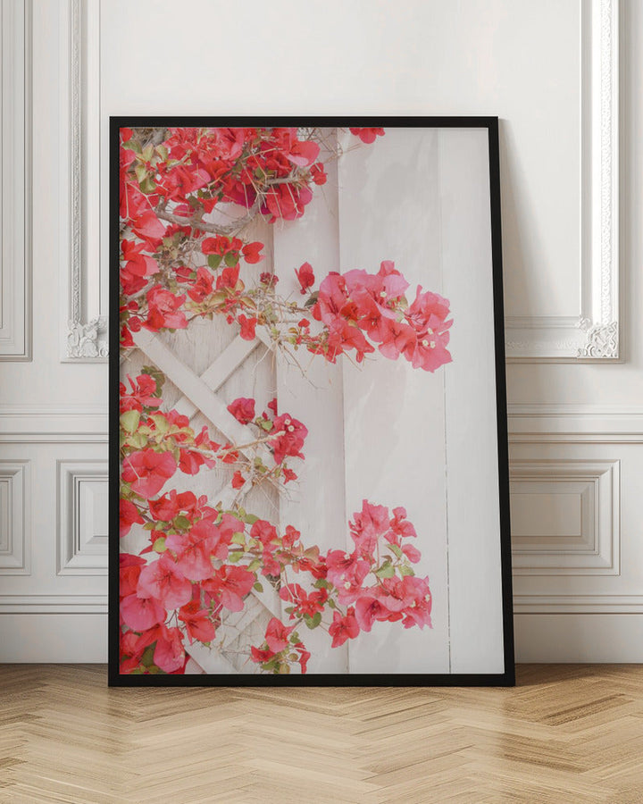 White &amp;amp; Pink - Stretched Canvas, Poster or Fine Art Print I Heart Wall Art