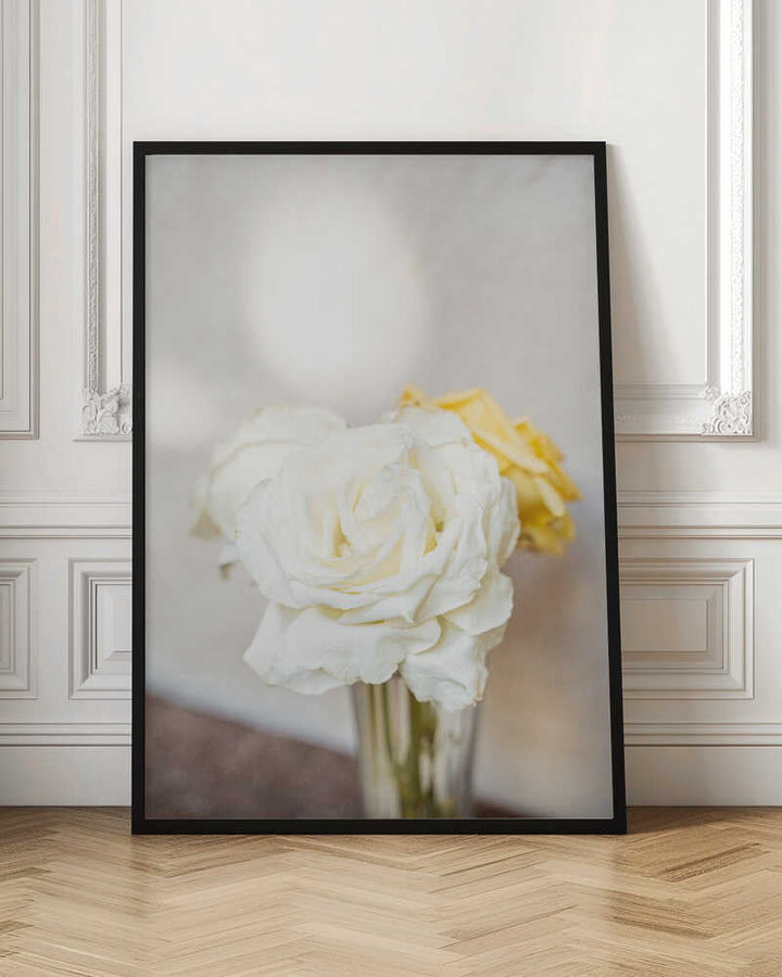 White Roses - Stretched Canvas, Poster or Fine Art Print - I Heart Wall Art - Poster Print, Canvas Print or Framed Art Print
