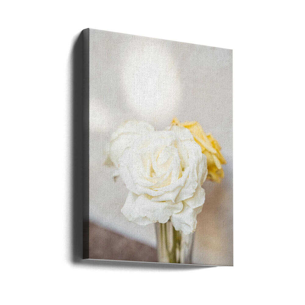 White Roses - Stretched Canvas, Poster or Fine Art Print - I Heart Wall Art - Poster Print, Canvas Print or Framed Art Print