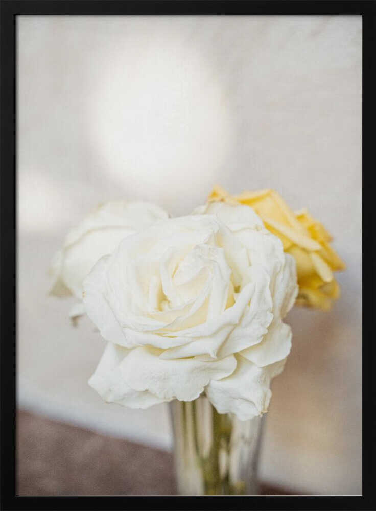 White Roses - Stretched Canvas, Poster or Fine Art Print - I Heart Wall Art - Poster Print, Canvas Print or Framed Art Print