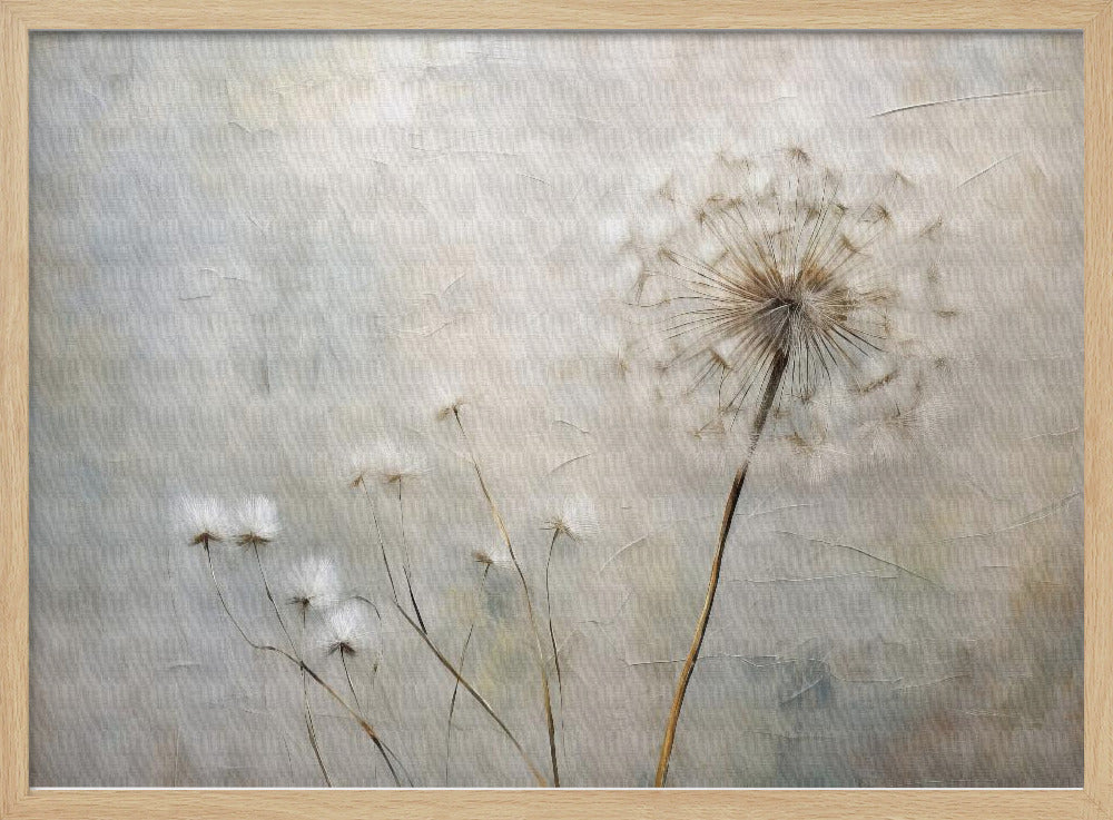 White Spring 1 - Stretched Canvas, Poster or Fine Art Print I Heart Wall Art