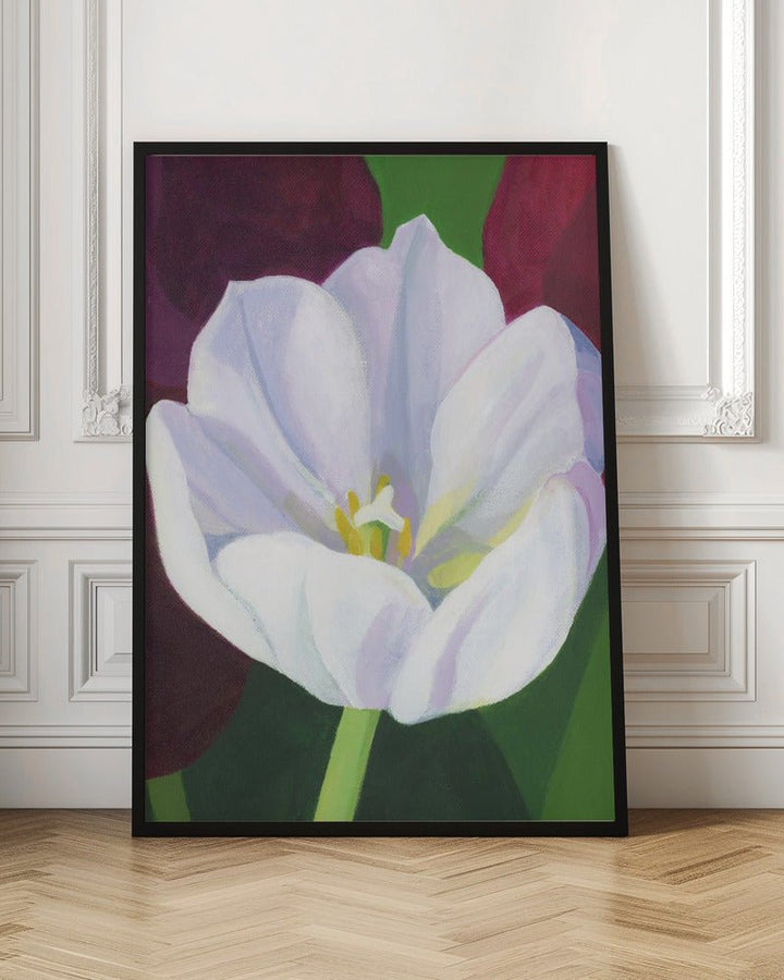 White Tulip - Stretched Canvas, Poster or Fine Art Print - I Heart Wall Art - Poster Print, Canvas Print or Framed Art Print