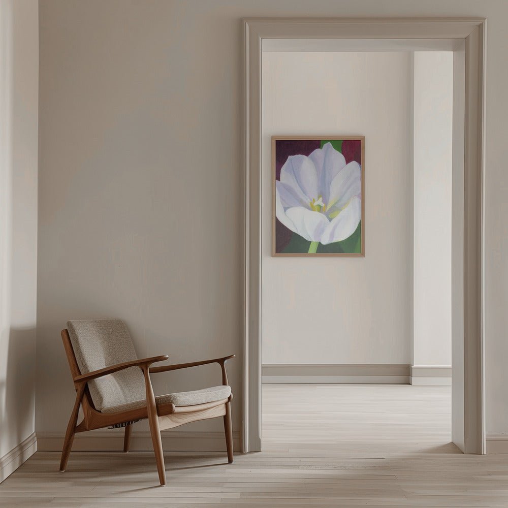 White Tulip - Stretched Canvas, Poster or Fine Art Print - I Heart Wall Art - Poster Print, Canvas Print or Framed Art Print