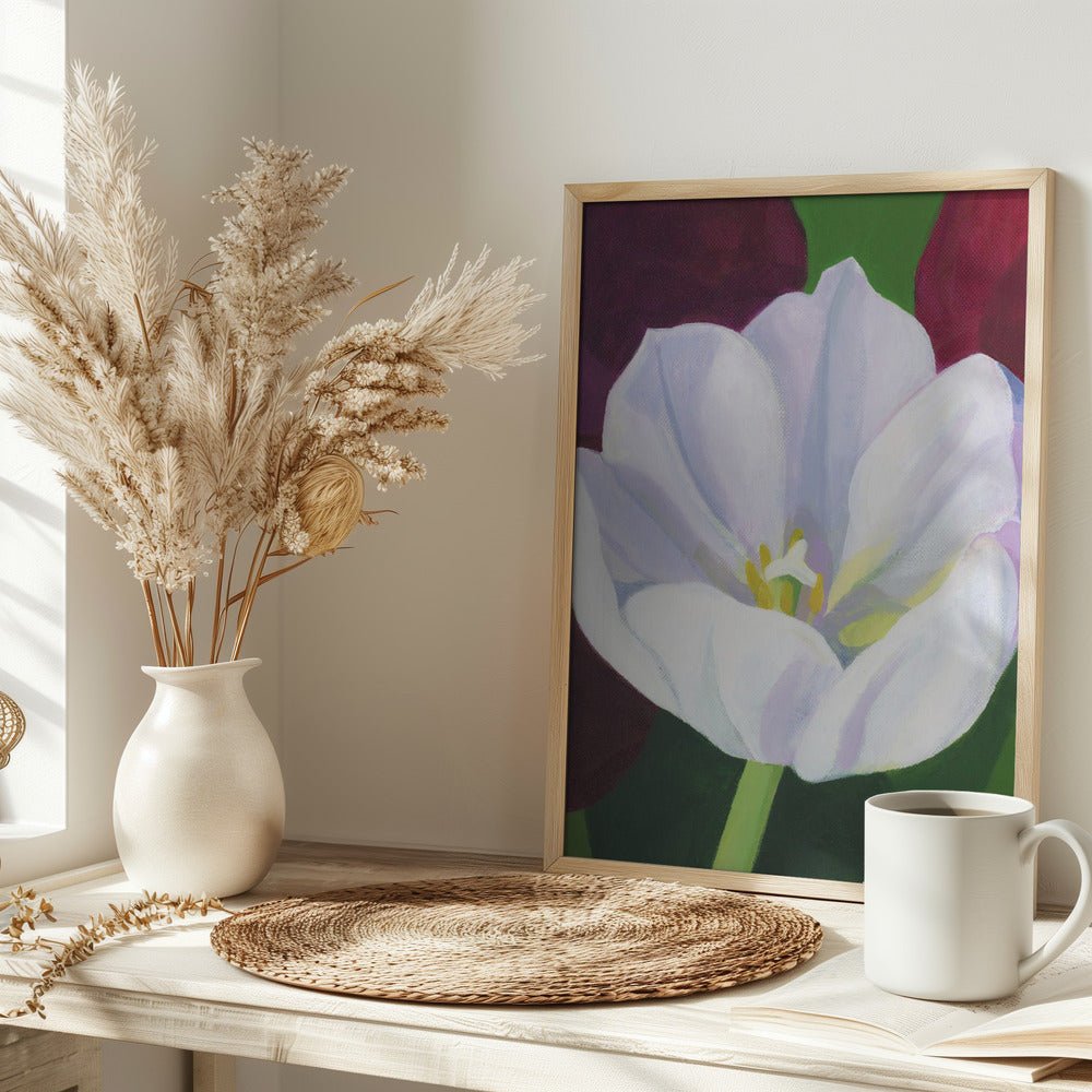 White Tulip - Stretched Canvas, Poster or Fine Art Print - I Heart Wall Art - Poster Print, Canvas Print or Framed Art Print