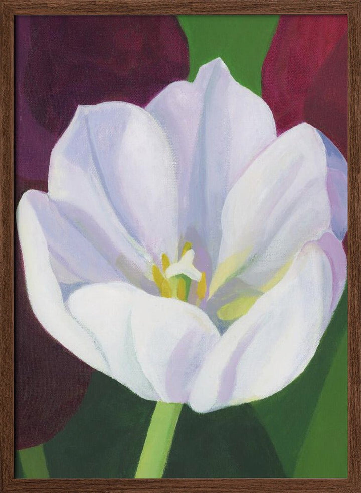 White Tulip - Stretched Canvas, Poster or Fine Art Print - I Heart Wall Art - Poster Print, Canvas Print or Framed Art Print