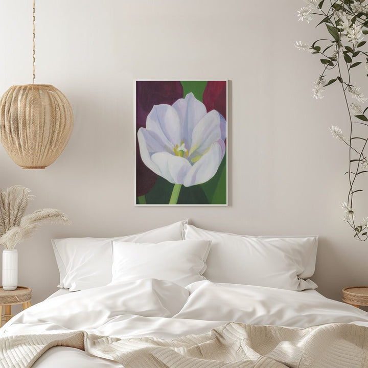 White Tulip - Stretched Canvas, Poster or Fine Art Print - I Heart Wall Art - Poster Print, Canvas Print or Framed Art Print