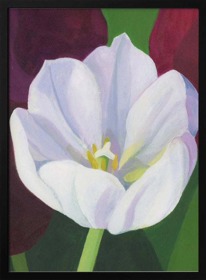 White Tulip - Stretched Canvas, Poster or Fine Art Print - I Heart Wall Art - Poster Print, Canvas Print or Framed Art Print