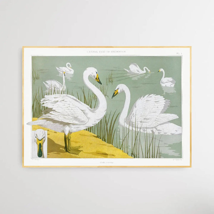 Wild Swan 1897 by Maurice Pillard Verneuil I Heart Wall Art Australia 