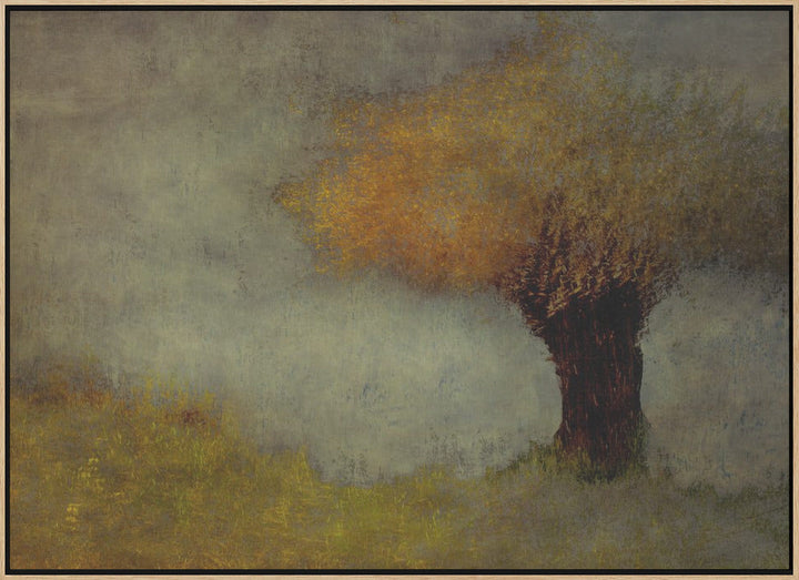 Willow - Stretched Canvas, Poster or Fine Art Print I Heart Wall Art