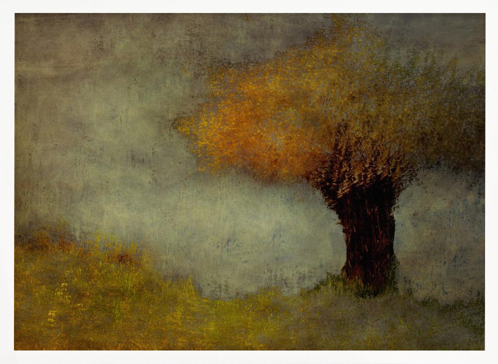 Willow - Stretched Canvas, Poster or Fine Art Print I Heart Wall Art