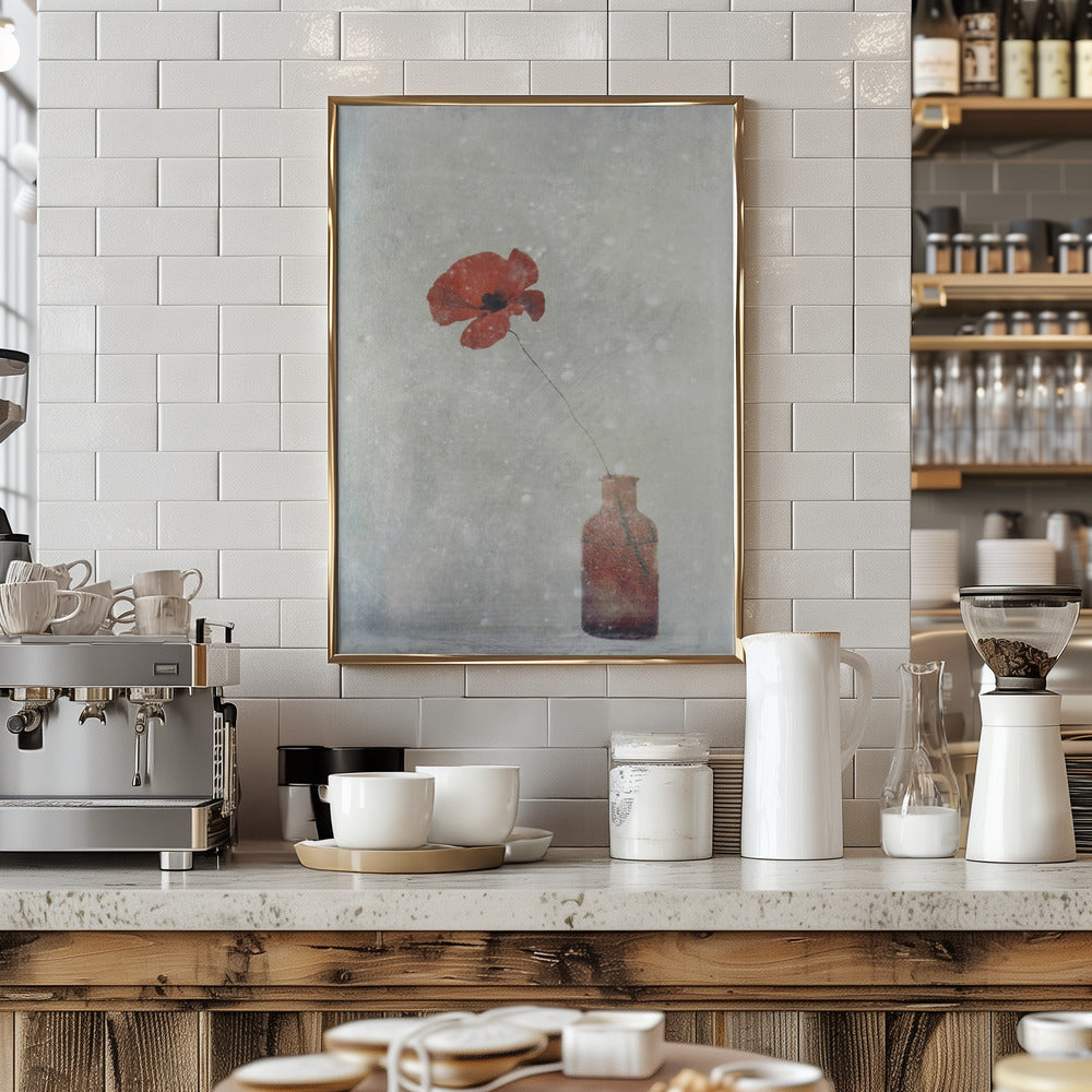 Winter Poppy - Stretched Canvas, Poster or Fine Art Print I Heart Wall Art