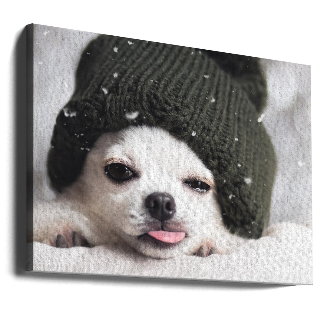 Yah-boo - Stretched Canvas, Poster or Fine Art Print I Heart Wall Art