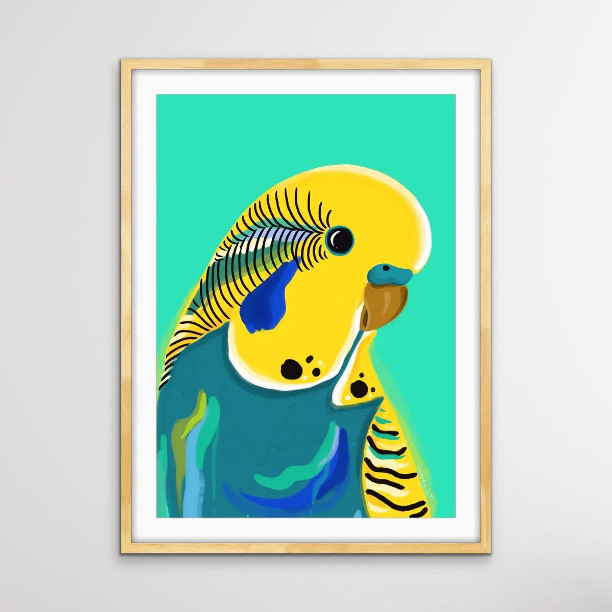 Yellow Budgie By Emma Whitelaw - Yellow Budgerigar Contemporary Artwork Canvas or Art Print I Heart Wall Art Australia 