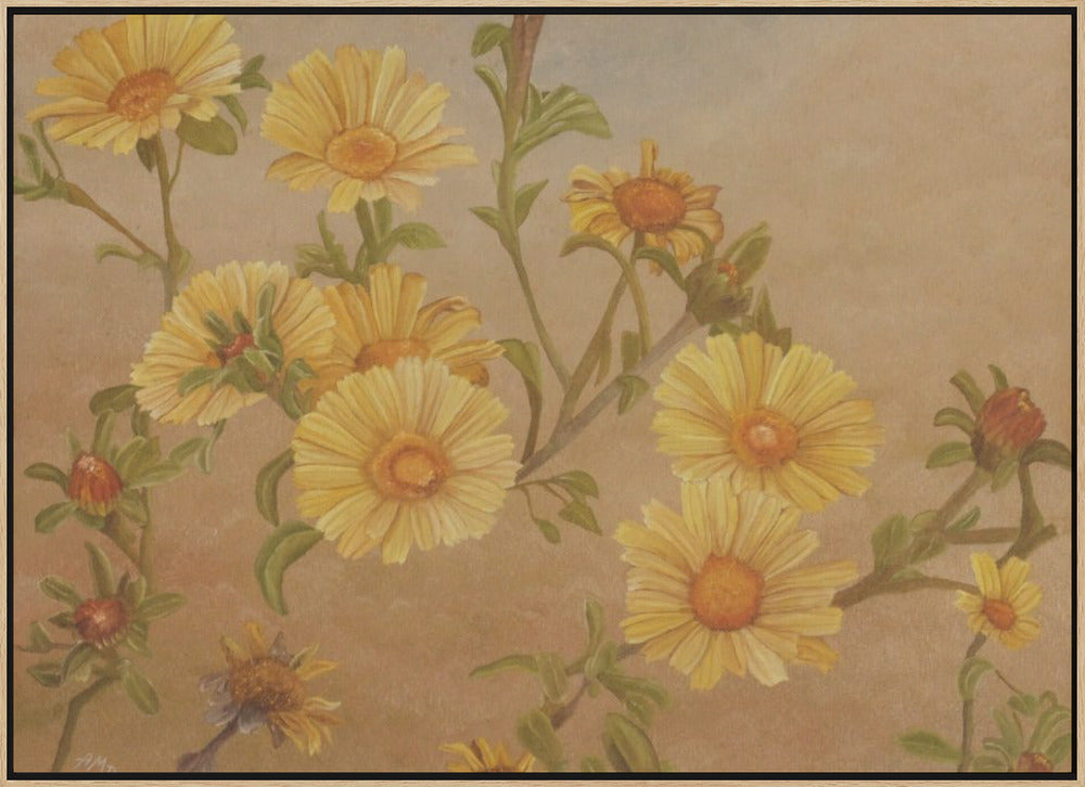 Yellow Daisies - Stretched Canvas, Poster or Fine Art Print I Heart Wall Art