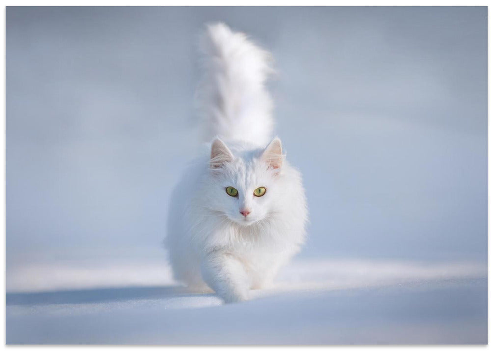 Yellow Eyes - Stretched Canvas, Poster or Fine Art Print I Heart Wall Art