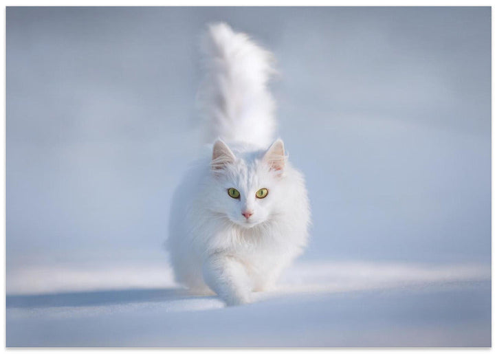 Yellow Eyes - Stretched Canvas, Poster or Fine Art Print I Heart Wall Art
