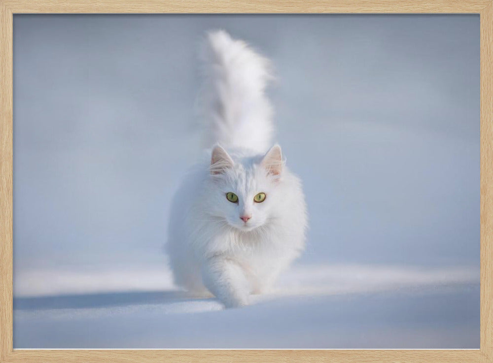 Yellow Eyes - Stretched Canvas, Poster or Fine Art Print I Heart Wall Art