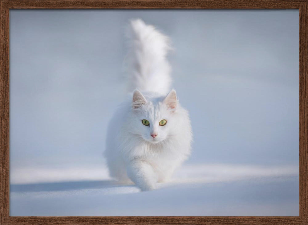 Yellow Eyes - Stretched Canvas, Poster or Fine Art Print I Heart Wall Art