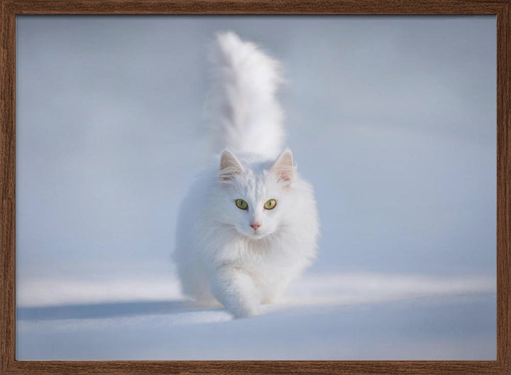 Yellow Eyes - Stretched Canvas, Poster or Fine Art Print I Heart Wall Art