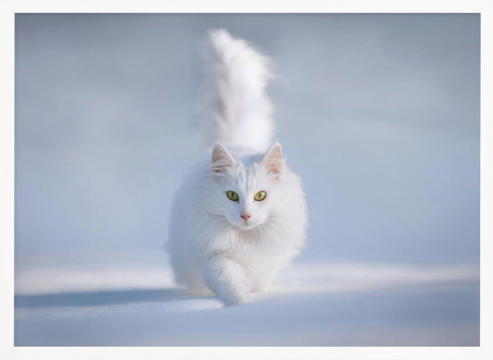 Yellow Eyes - Stretched Canvas, Poster or Fine Art Print I Heart Wall Art