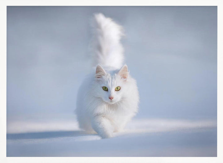 Yellow Eyes - Stretched Canvas, Poster or Fine Art Print I Heart Wall Art