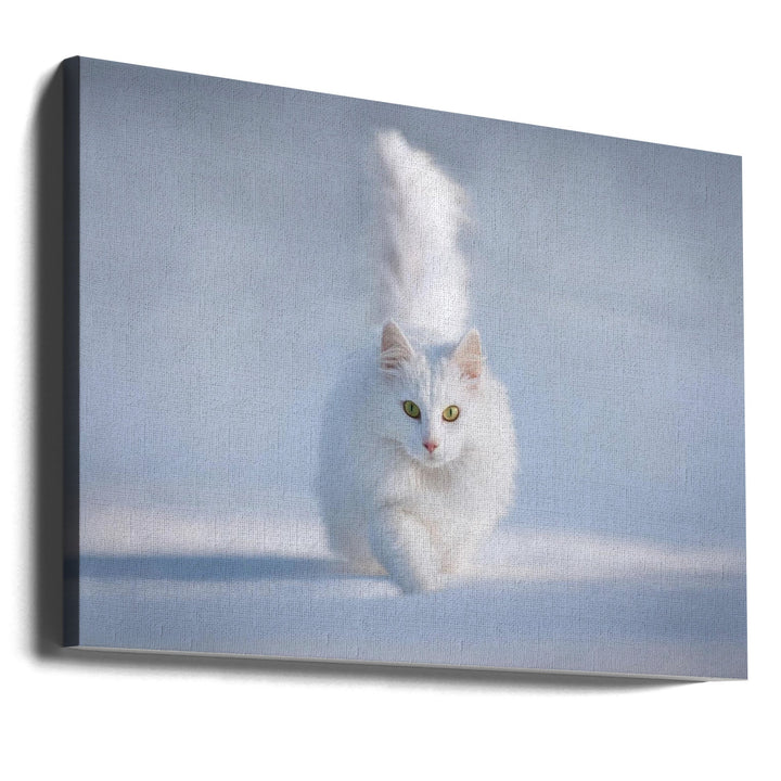 Yellow Eyes - Stretched Canvas, Poster or Fine Art Print I Heart Wall Art