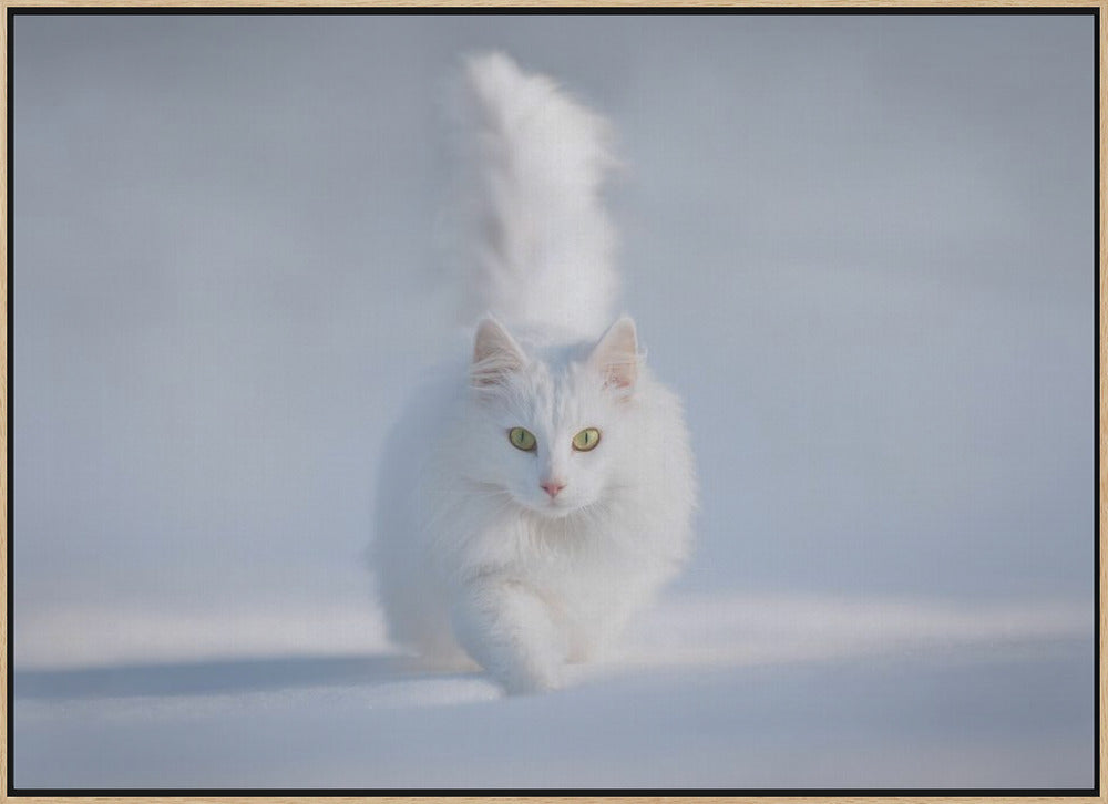 Yellow Eyes - Stretched Canvas, Poster or Fine Art Print I Heart Wall Art