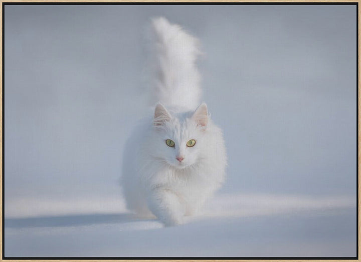 Yellow Eyes - Stretched Canvas, Poster or Fine Art Print I Heart Wall Art