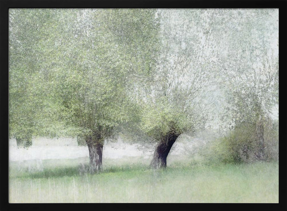 Young green - Stretched Canvas, Poster or Fine Art Print I Heart Wall Art