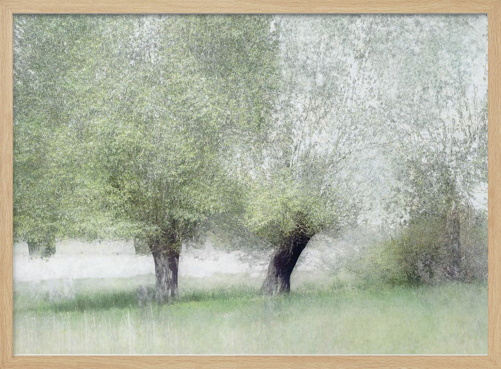 Young green - Stretched Canvas, Poster or Fine Art Print I Heart Wall Art