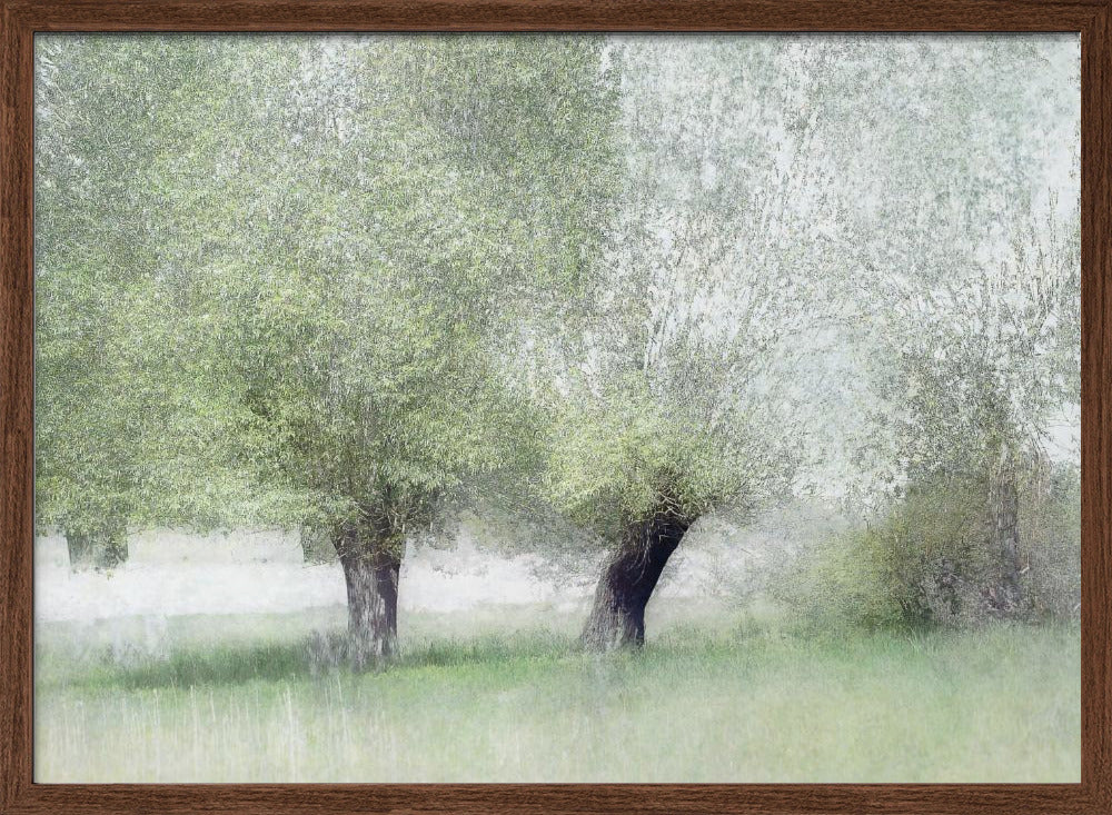 Young green - Stretched Canvas, Poster or Fine Art Print I Heart Wall Art