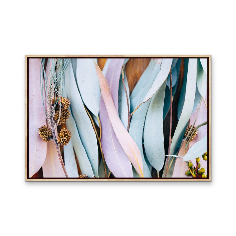 Gum Leaves -  Original Pastel Coloured Eucalyptus Gum Leaf Photographic Canvas or Art Print I Heart Wall Art Australia 