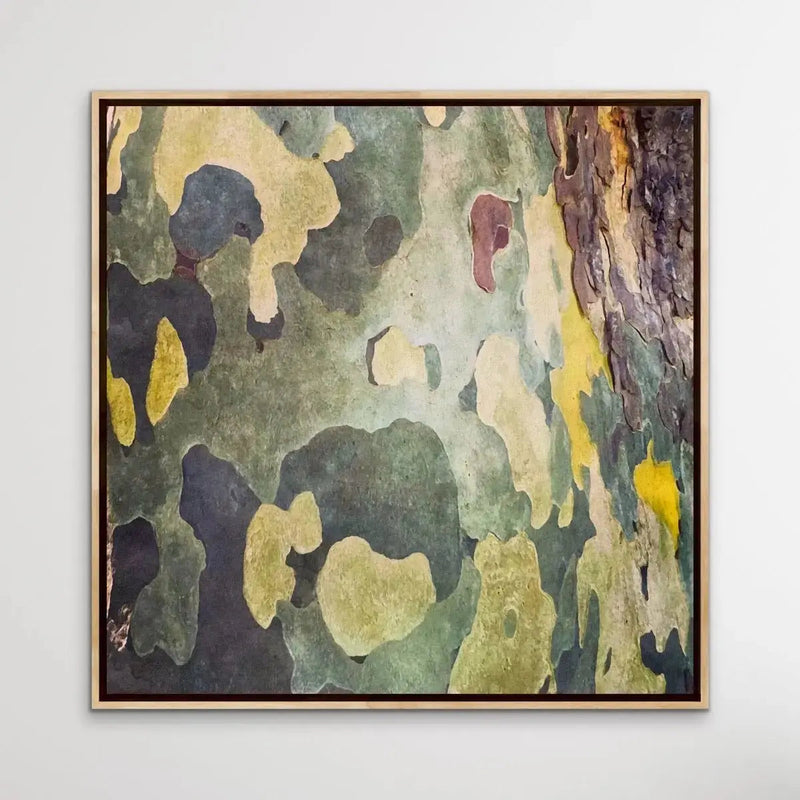 Bark In Green and Yellow Tones - Square Abstract Eucalyptus Bark Photographic Print - I Heart Wall Art - Poster Print, Canvas Print or Framed Art Print