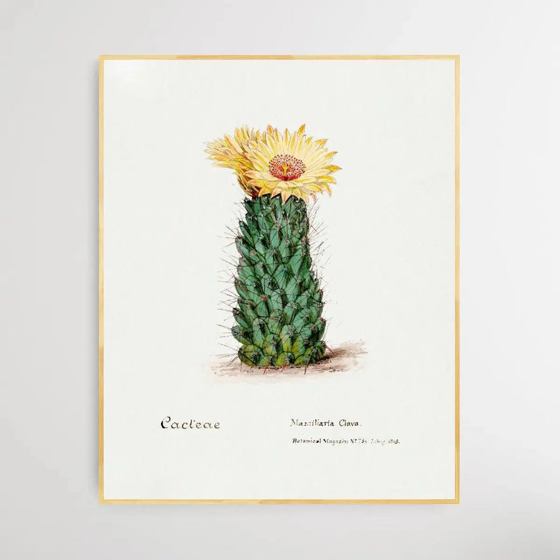 Beehive cactus - I Heart Wall Art - Poster Print, Canvas Print or Framed Art Print