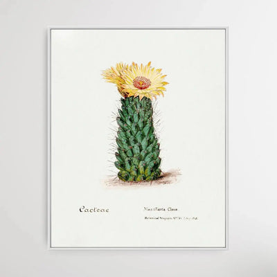 Beehive cactus - I Heart Wall Art - Poster Print, Canvas Print or Framed Art Print