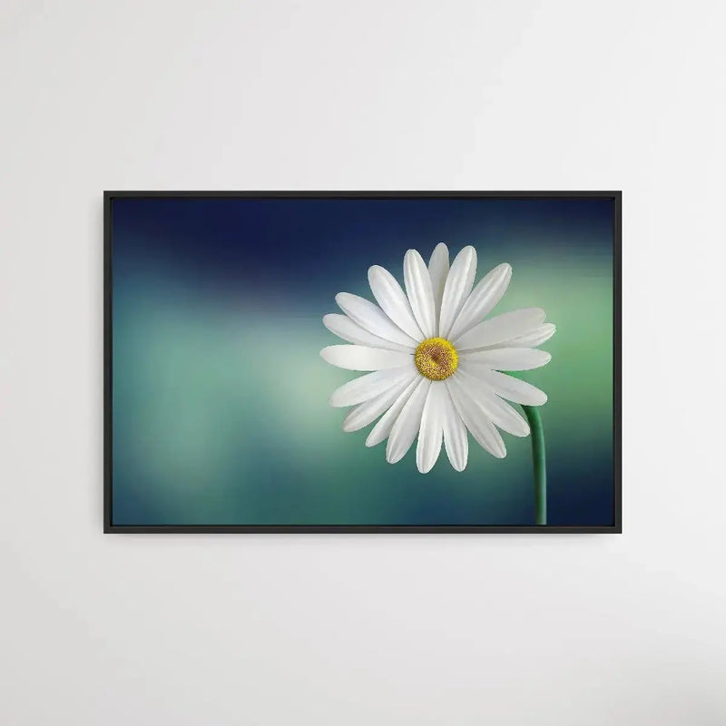 Bellis Perennis - Daisy Flower Art Print - I Heart Wall Art - Poster Print, Canvas Print or Framed Art Print