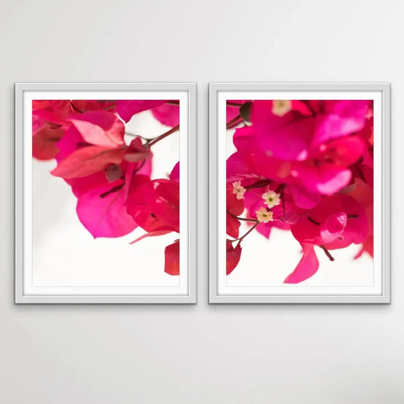 Bougainvillea - Two Piece Print Bougainvillea Print Show As Canvas or Art Prints - I Heart Wall Art - Poster Print, Canvas Print or Framed Art Print