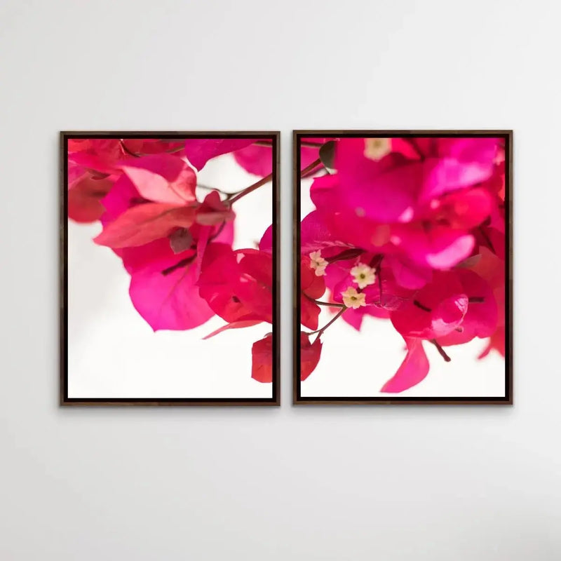 Bougainvillea - Two Piece Print Bougainvillea Print Show As Canvas or Art Prints - I Heart Wall Art - Poster Print, Canvas Print or Framed Art Print