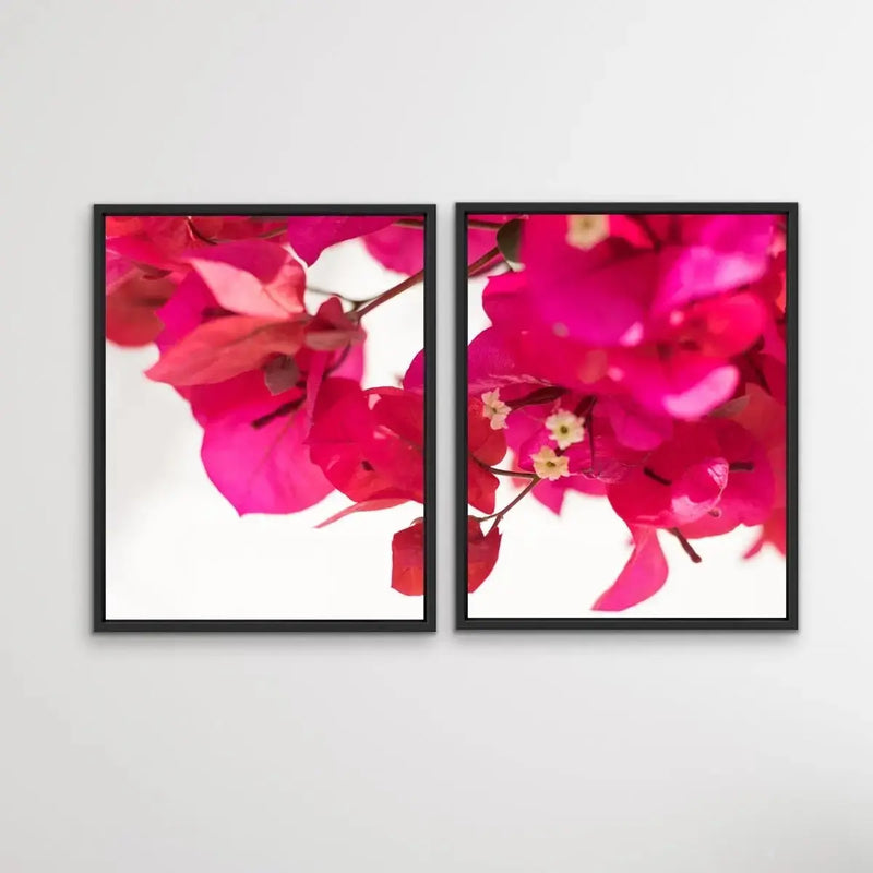 Bougainvillea - Two Piece Print Bougainvillea Print Show As Canvas or Art Prints - I Heart Wall Art - Poster Print, Canvas Print or Framed Art Print