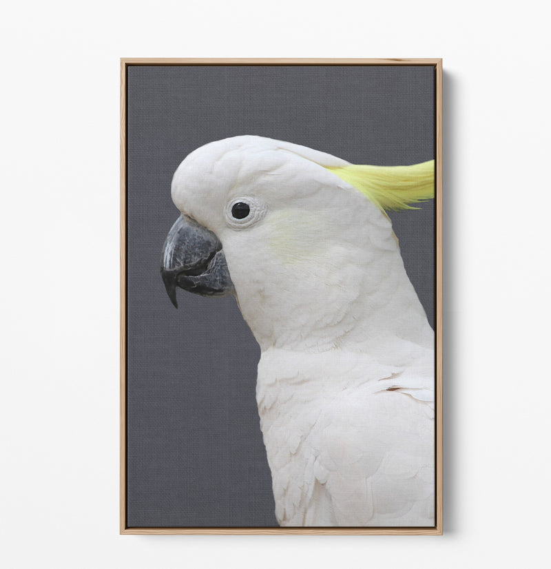 Cockatoo Stand Off - Two Piece Stretched Canvas Framed Wall Art Diptych - I Heart Wall Art