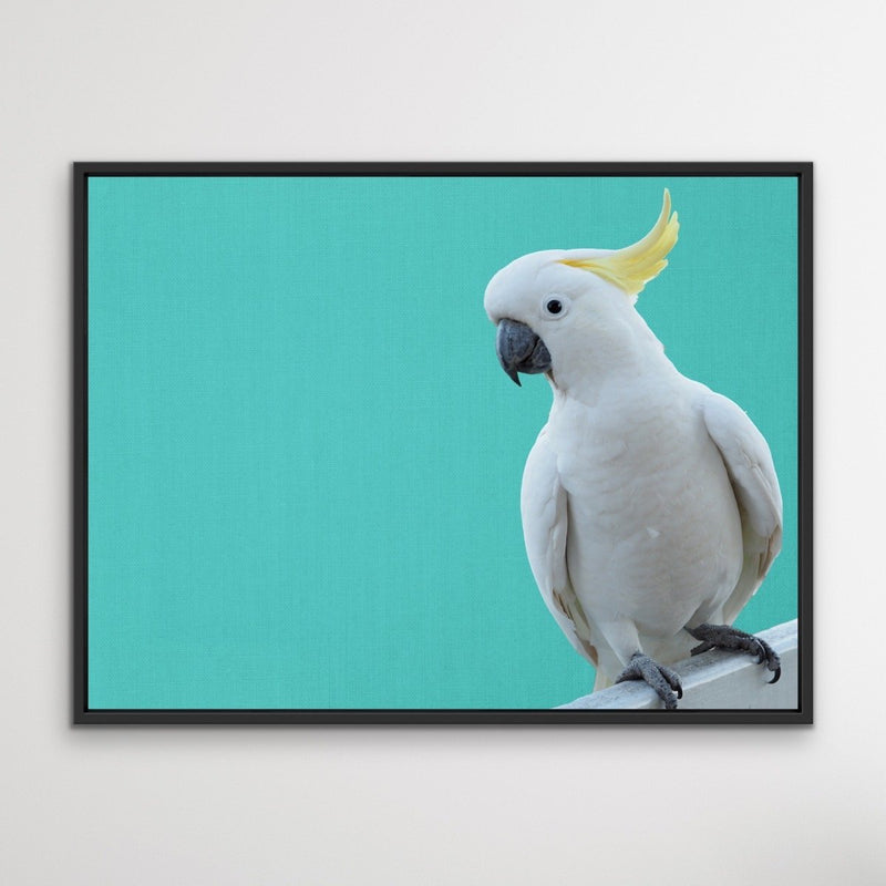 Cockatoo on Turquoise Linen - Framed Canvas Print Wall Art Print - I Heart Wall Art