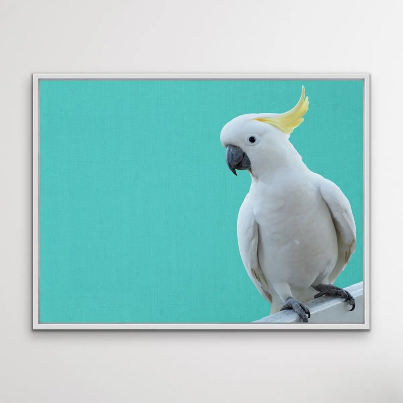 Cockatoo on Turquoise Linen - Framed Canvas Print Wall Art Print I Heart Wall Art Australia 