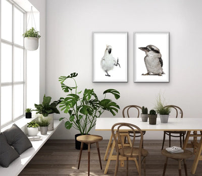Cocky and Kooky - Cockatoo and Kookaburra Stretched Canvas Framed Wall Art Diptych I Heart Wall Art Australia 