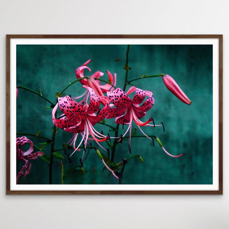 Come Find Me - Green and Pink Photographic Print on Canvas or Paper I Heart Wall Art Australia 