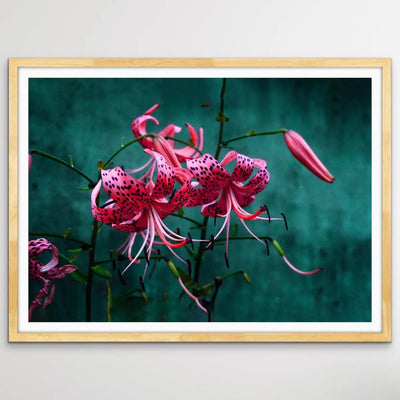 Come Find Me - Green and Pink Photographic Print on Canvas or Paper I Heart Wall Art Australia 